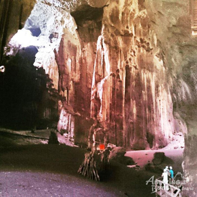 Gomantong Caves Adventure